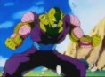 super namek: 5.000